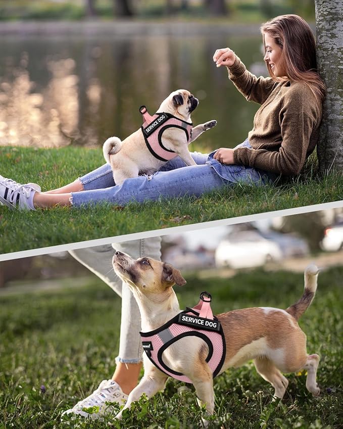 FAYOGOO Service Dog Vest for Small Breed - Lightweight Dog Harness with 6PCS Removable Patches - Puppy Harness and Leash Set for Walking,Training