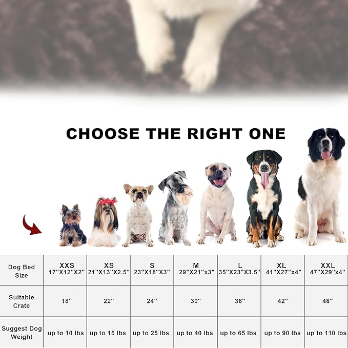 Deluxe Dog Crate Bed 21"x13")