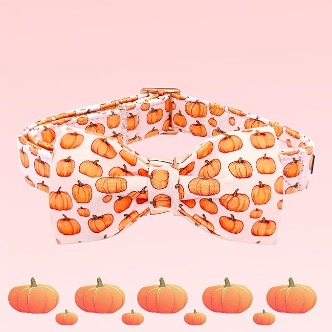 Elegant little tail Fall Dog Collar