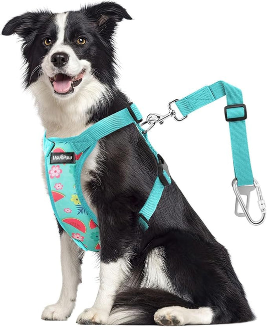 Dog Vehicle Safety Vest Harness, Adjustable Soft Padded Mesh Car Seat Belt Leash Harness with Travel Strap and Carabiner for Most Cars, Size Large, Lake Blue Flower