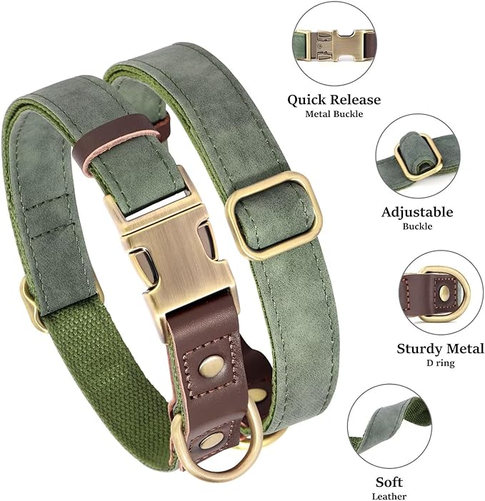 Didog Soft Padded Leather Dog Collar for Large Dogs