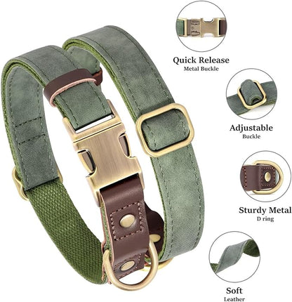 Didog Soft Padded Leather Dog Collar for Large Dogs