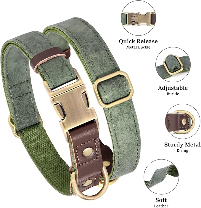 Didog Soft Padded Leather Dog Collars for Small Dogs