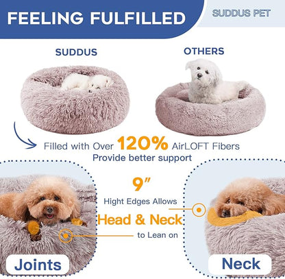 suddus Calming Dog Bed with Blanket Attached 26"