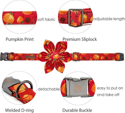 Elegant little tail Dog Collar with Flower