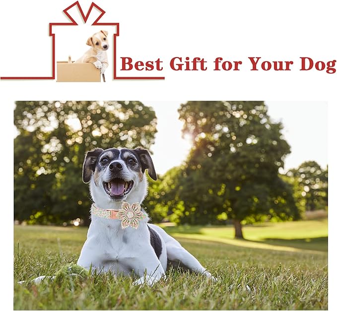 Unique style paws Dog Collar with Flower Tie