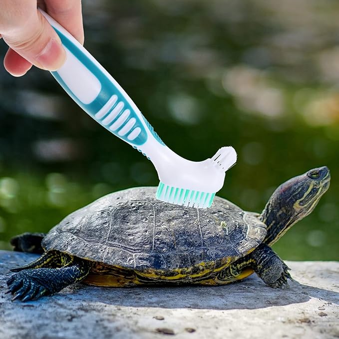 Hamster Mini Brush Brace Braces False Toothbrush Clean Cleaner Rubber Handle Double-Sided Turtle Shell Cleaning Brush Turtle Tortoise Shell Mud Clean Brush Water Turtle