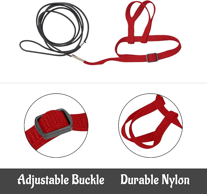 2 pcs Pet Parrot Bird Harness and Leash, Adjustable Training Design Anti-Bite, Outdoor Flying Training Rope Kit for Bird Parrots Fits Birds Chest Between24-51cm /9.45-20inch - M (red