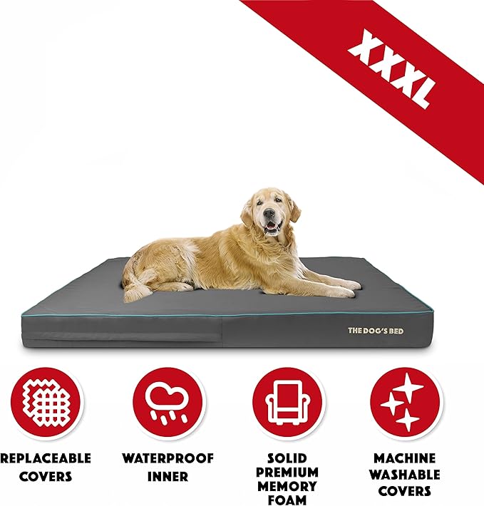 The Dog’s Bed Orthopedic Memory Foam Dog Bed 64x44, Pain