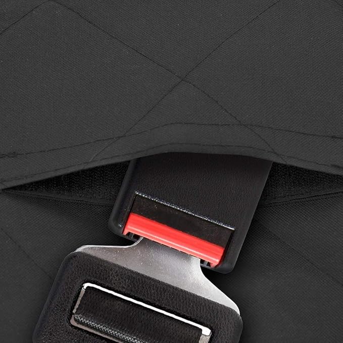 Best Pet Supplies Water Resistant Back Seat Cover for Dogs with Protective Pouch 58 * 54, CS210-BK