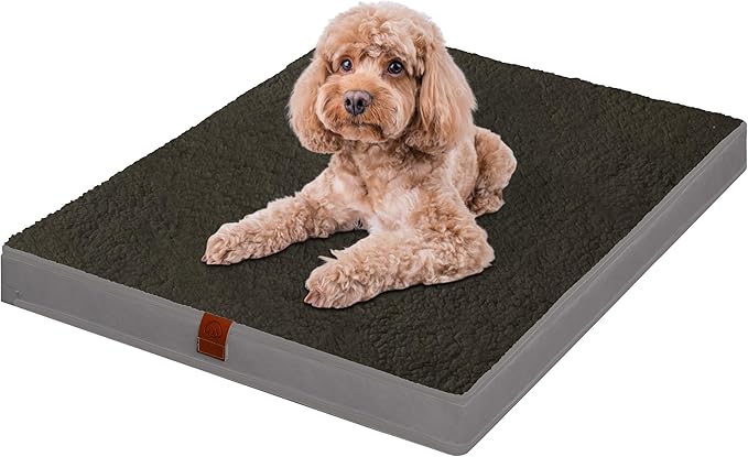 Easy-Going Dog Bed for Small Dogs (20x15x3 in,