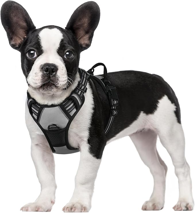 rabbitgoo Dog Harness, No-Pull Pet Harness with 2 Leash Clips, Adjustable Soft Padded Dog Vest, Reflective No-Choke Pet Oxford Vest with Easy Control Handle for Small Dogs, Grey, S