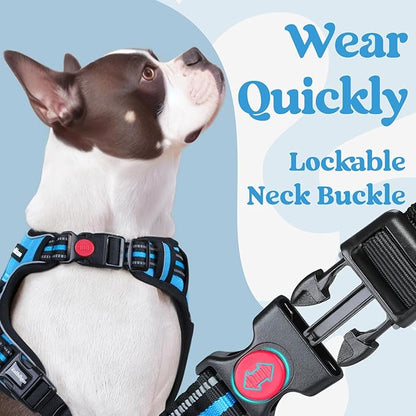 rabbitgoo Dog Harness Small Sized, No Pull Pet Harness with 3 Buckles, Adjustable Soft Padded Dog Vest with Instant Control Handle, Easy Walking Reflective Pet Vest for Small Dogs, Sky Blue, S