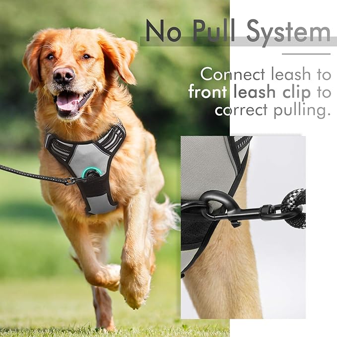 rabbitgoo Dog Harness 2 Leash