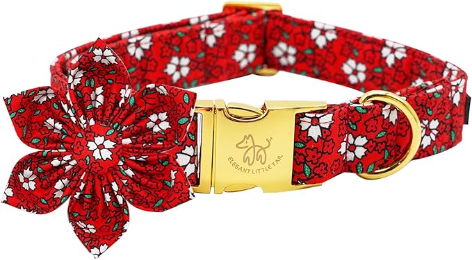 Elegant little tail Dog Collar with Flower