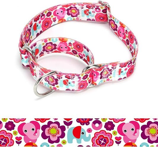 Martingale Dog Collars (21, L)
