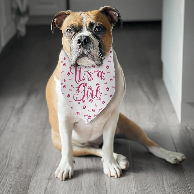 It's a Girl Dog Bandana Gender Reveal Dog