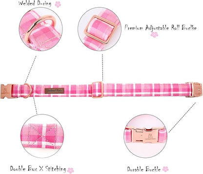 Lionheart glory Valentine's Day Collar