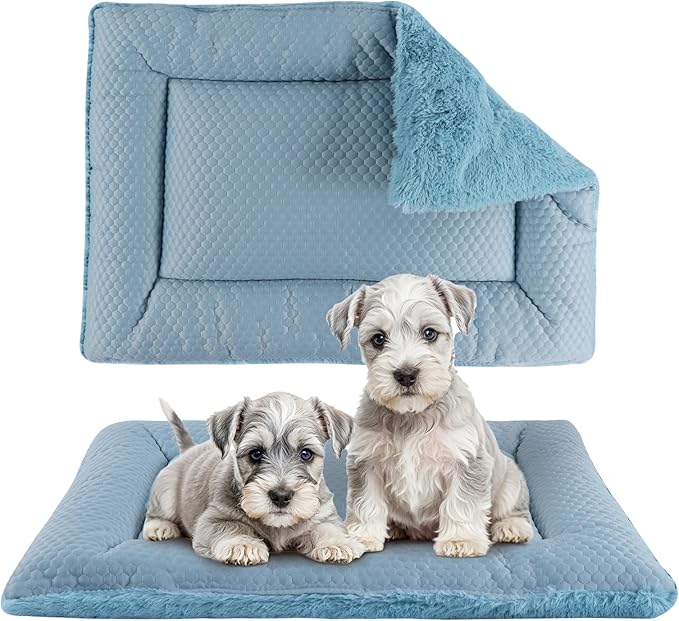 Dog Bed Mat XB009 (36''x23'',Blue)