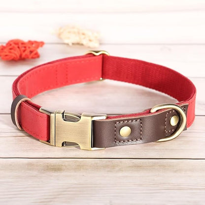 Didog Soft Padded Leather Dog Collars for Medium Dogs