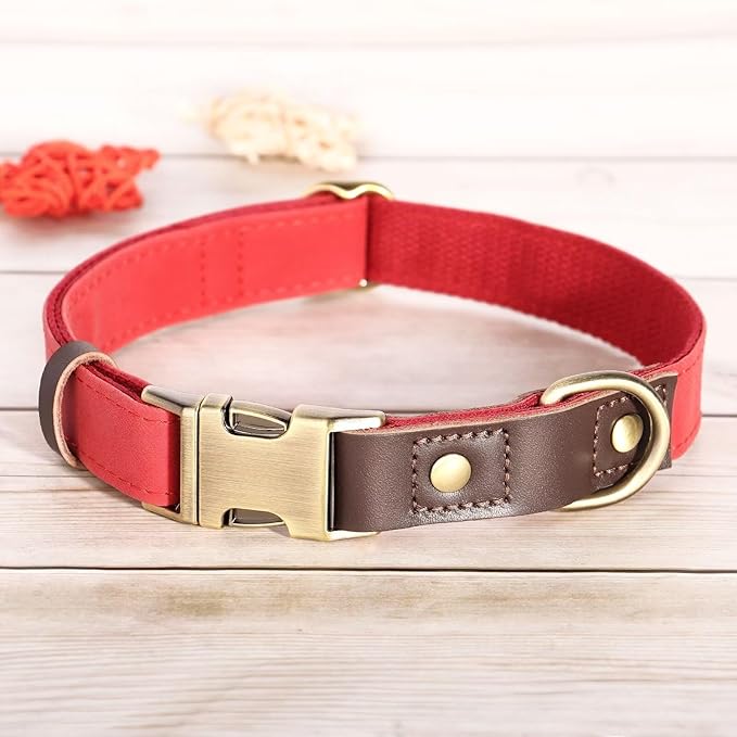 Didog Soft Padded Leather Dog Collars for Small Dogs