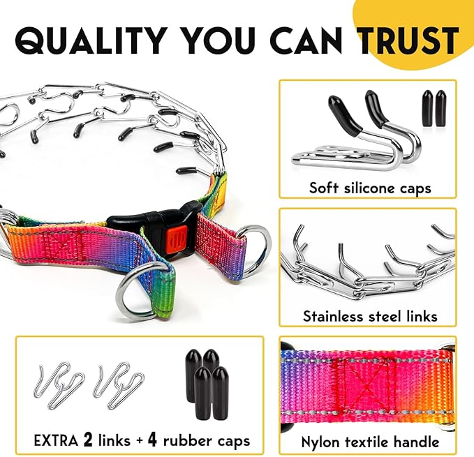 Prong Collar for Dogs