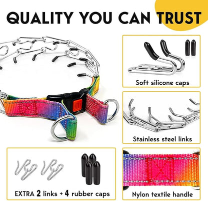 Prong Collar for Dogs