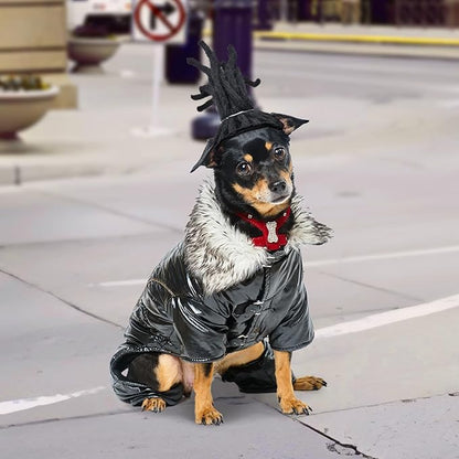Pet Rockstar Wig