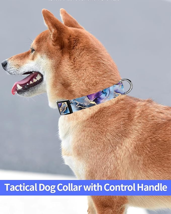 Dog Collar