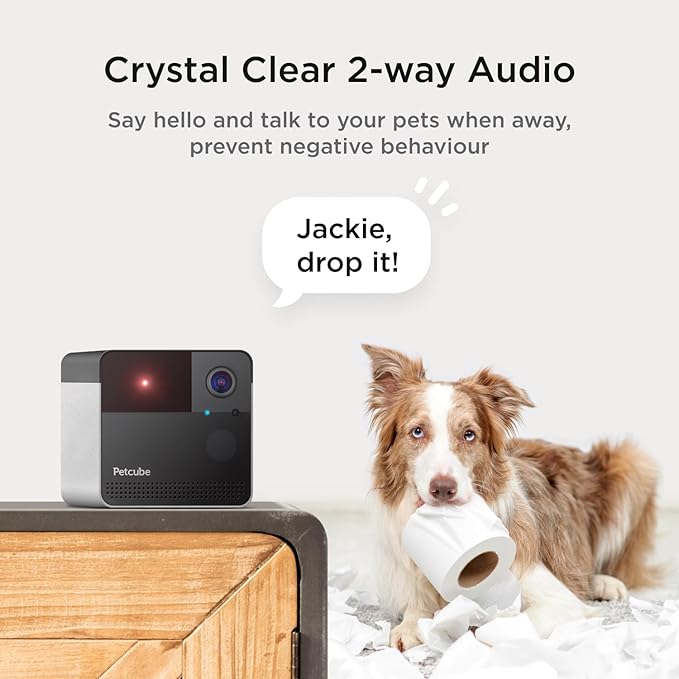 Petcube Play 2 Wi-Fi Pet Camera with Laser Toy for Cats & Dogs, 1080P HD Video, 160° Full-Room View, 2-Way Audio, Sound/Motion Alerts, Night Vision, Pet Monitoring App