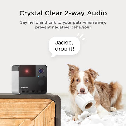 Petcube Play 2 Wi-Fi Pet Camera with Laser Toy for Cats & Dogs, 1080P HD Video, 160° Full-Room View, 2-Way Audio, Sound/Motion Alerts, Night Vision, Pet Monitoring App