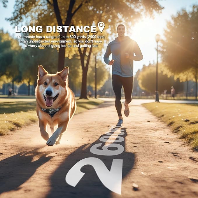 Dog Training Collar 2600FT Remote 3 Training