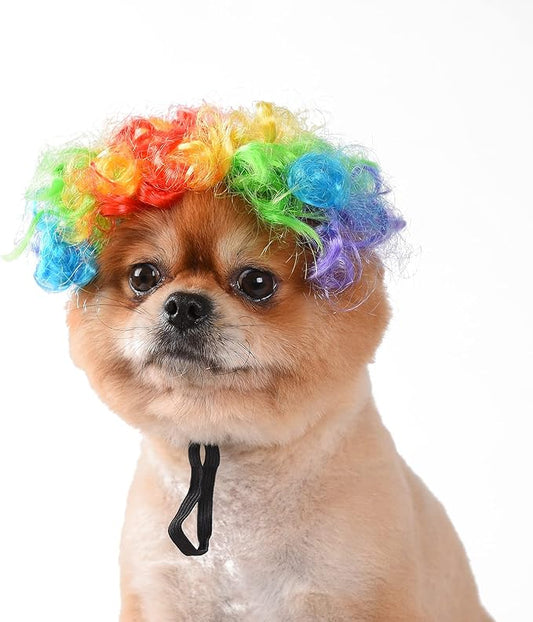 Funny Dog Cat Cosplay Wig, Headwear Apparel Toy, Pet Costumes, Cat Dress up for Halloween, Christmas, Parties, Festivals, Dog Wigs for Small Medium and Large Dogs (Colorful Clown Hair)