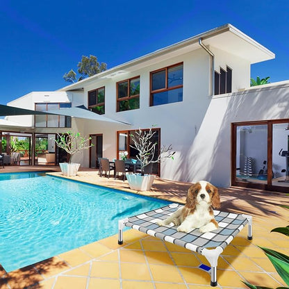 Elevated Dog Bed Raised Dog Bed