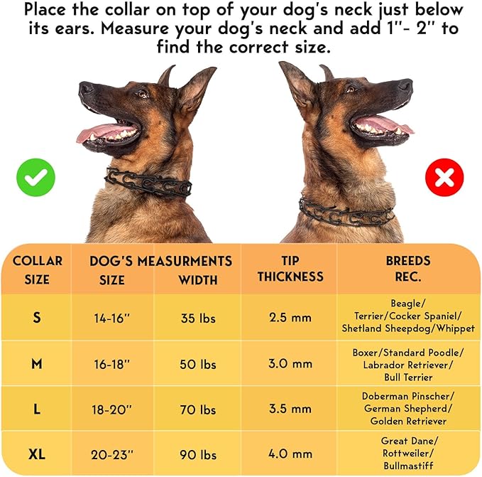 Prong Collar for Dogs