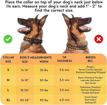 Prong Collar for Dogs