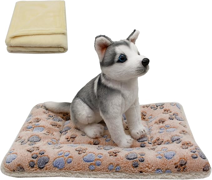 Cat Dog Bed Mat & Blanket