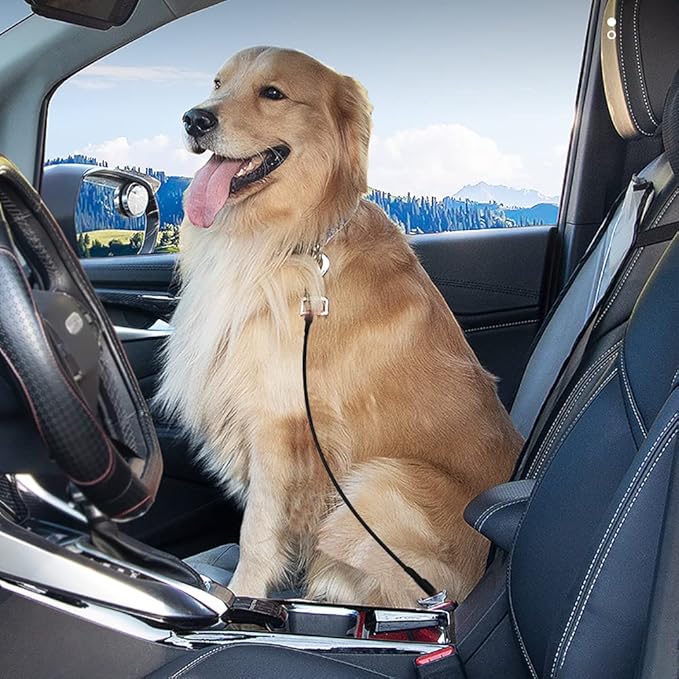 Pet Dog Car Seat Belt Restraint