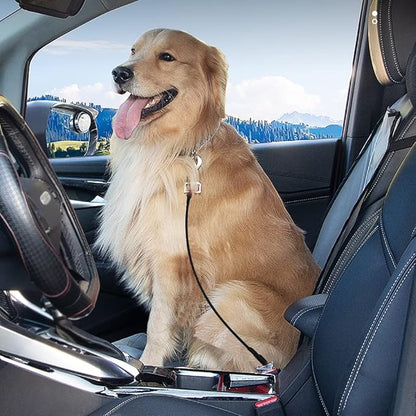 Pet Dog Car Seat Belt Restraint