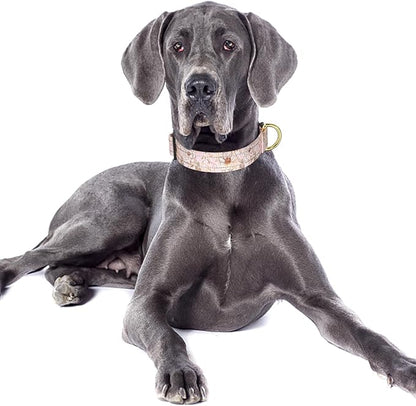 Reflective Dog Collar