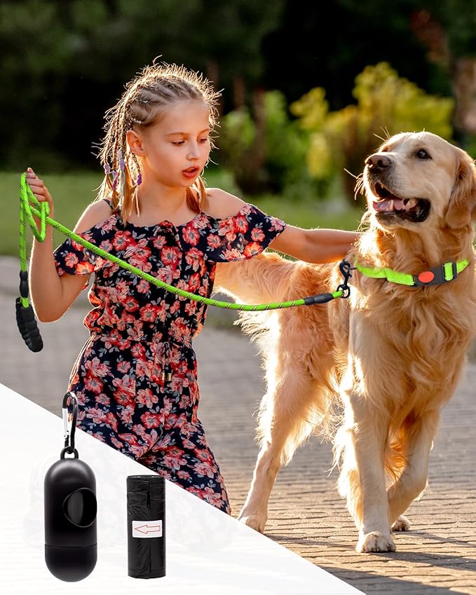 Dog Leash Heavy Duty 4/5/6FT Reflective 5'*1/2'', Green