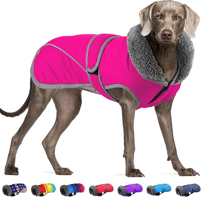 Dogcheer Dog Winter Coat