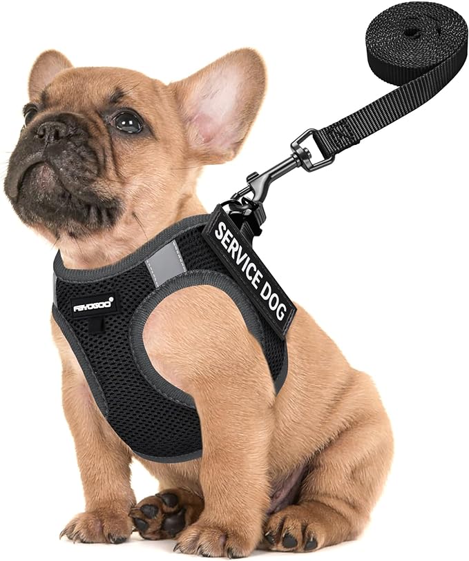 FAYOGOO Service Dog Vest for Medium Breed - Lightweight Dog Harness with 6PCS Removable Patches - Puppy Harness and Leash Set for Walking,Training