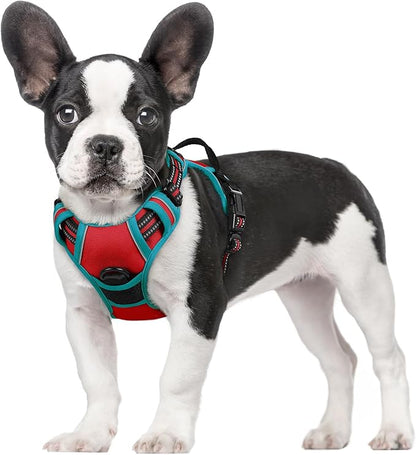 rabbitgoo Dog Harness, No-Pull Pet Harness with 2 Leash Clips, Adjustable Soft Padded Dog Vest, Reflective No-Choke Pet Oxford Vest with Easy Control Handle for Large Dogs, Red & Teal, S