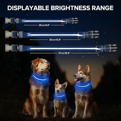 Led Dog Collar for Night Walking