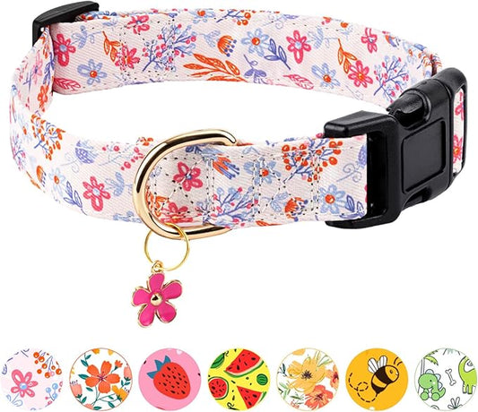 Dog Collar