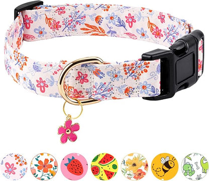 Dog Collar