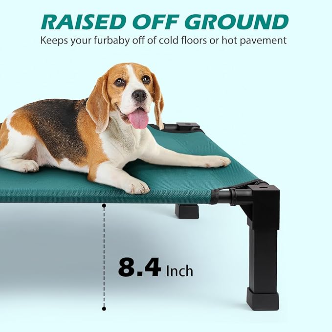 Cooling Elevated Dog Bed