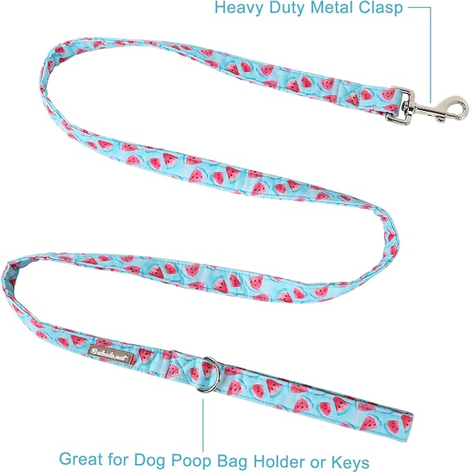 Dog Leash Durable Handmade Blue Watermelon Dog Leashes 150cm
