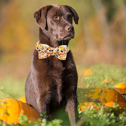 Lionheart glory Halloween Dog Collar with Bowtie Fall Pumpkin Ghost Cat Print Dog Collars Bow Tie Heavy Soft Adjustable Collar for Large Dogs Dog Bow Collar Holiday Pet Gift